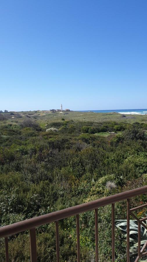 Ancient Paphos - Cozy Place Next To The Sea, Marina, Historical Sites, Buses, Mall, And Market Exterior foto