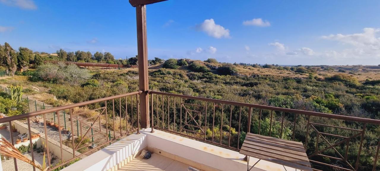 Ancient Paphos - Cozy Place Next To The Sea, Marina, Historical Sites, Buses, Mall, And Market Exterior foto